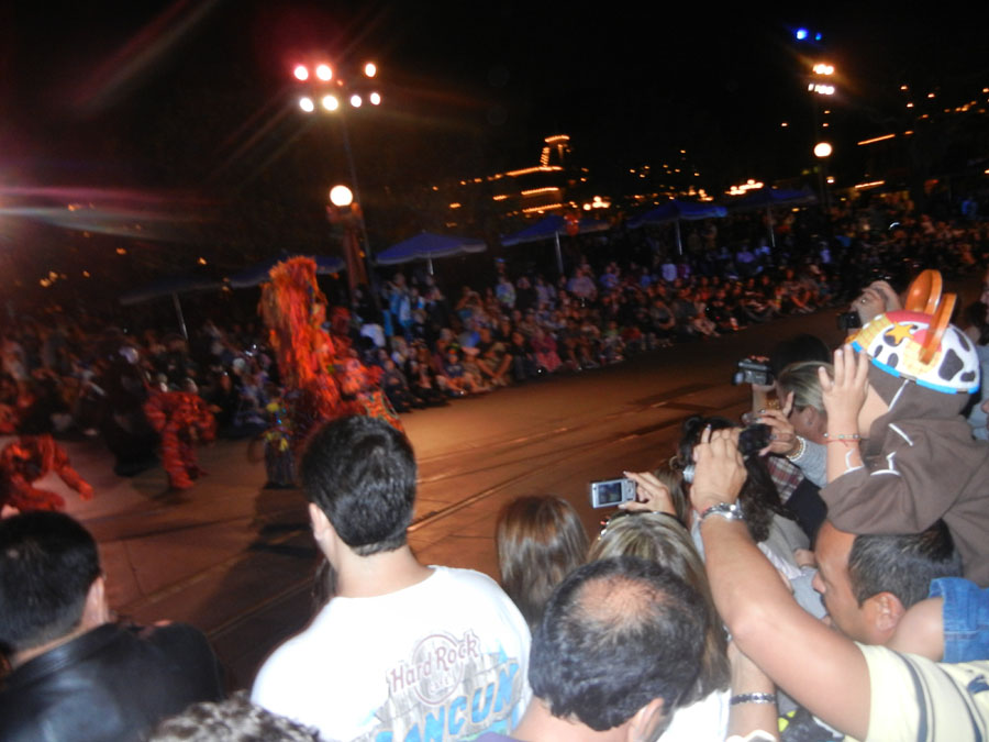 Disneyland Parade at Night Picture